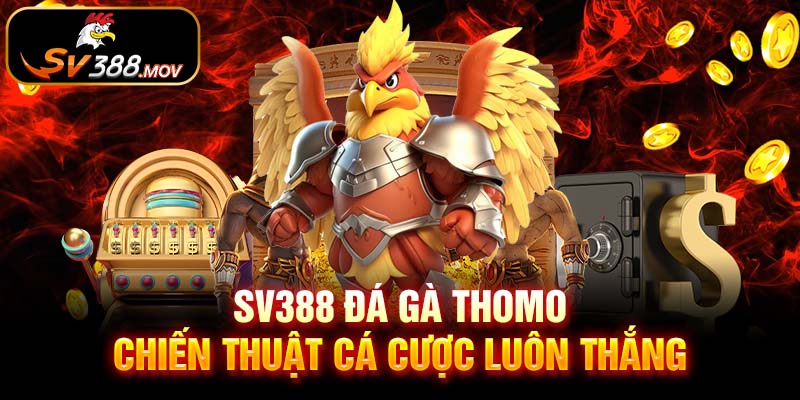 SV388 Đá Gà Thomo - Sân Chơi Tỷ Đô Hàng Triệu Người Mê 4 Trận Đấu Đỉnh Cao Tại SV388 Đá Gà Thomo